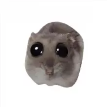 (not)Sad Hamster