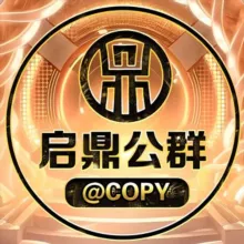 启鼎担保免费代理@COPY