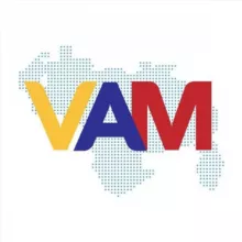 Venezuela al Minuto (VAM)