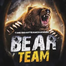 Bear Team 🐻