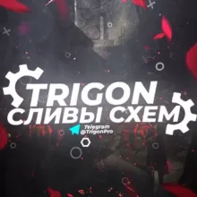 TRIGON | СЛИВЫ СХЕМ