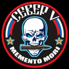 Бригада "Север-V" ДК ВС РФ