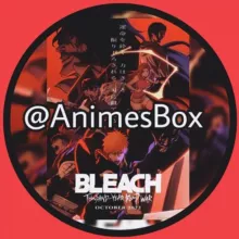 Bleach VF/ Vostfr 2022