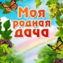 🫛☘️Моя Родная Дача☘️🫛