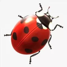 ФСН 🐞 OFFICIAL️