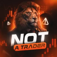 Not a Trader