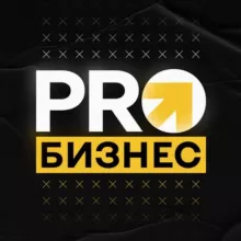 PRO Бизнес ✪