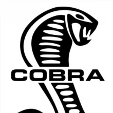 MMA Cobra