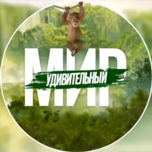 Удивительный Мир 🏝