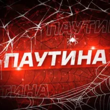 ПАУТИНА 🕸