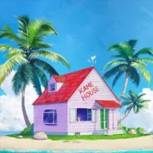 KAME HOUSE