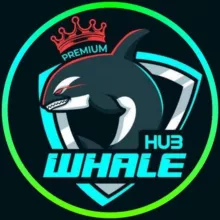 Whale Hub 🐋