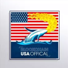 Blockchain Usa Official ( Binance ) 🐋