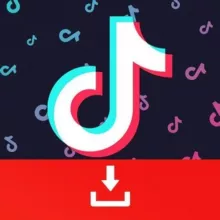 Tik Tok Downloader