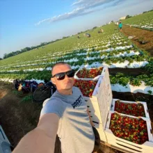 Клубничных дел мастер