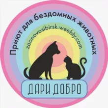 Дари Добро Нск приют для животных Новосибирск