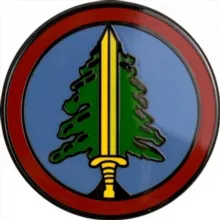 Парни из Читальни