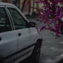 ᴍᴜᴠᴀʜʜɪᴅ ོ