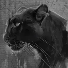 Лёгкость бытия