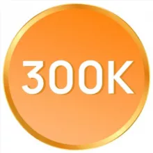 300 тыс на репетиторстве