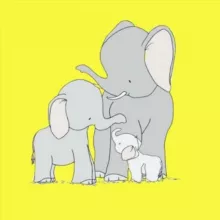 Kupi_tri_slona (женская одежда)