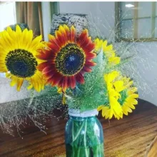 Positive Resistance for Quality People