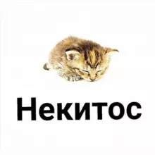 Некитос (mediynayablad)