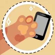 🏄🏼 Таверна СММ | РАБОТА | ВАКАНСИИ