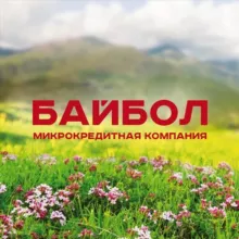 МКК Байбол | Займы для своих
