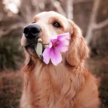 Daily dose of Cuteness