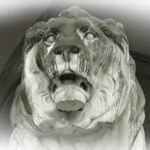 От Альп до Рейна