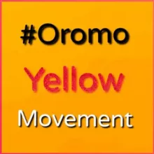 QEERROO FI QARREE OROMOO