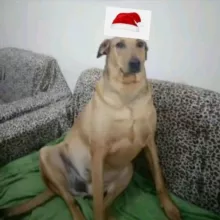 Трупопоедальня