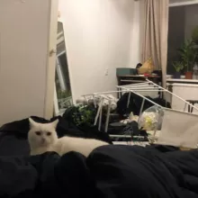 тот самый Марк Исаковский