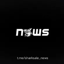 SharkNews