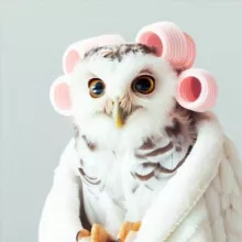 СОВА рукодельная