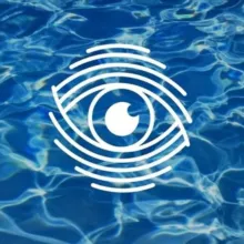 Как в Волгу глядели