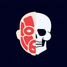 Анатомия | Карманный атлас