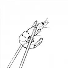 dnsvnlg канал умер