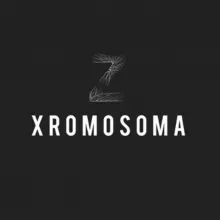 Хромосома Z