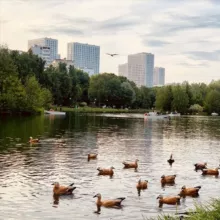 🌇 ЖК Дмитровский парк