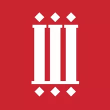 Ногинский Шик