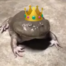 Невротический Журнал | Юля Шумакова