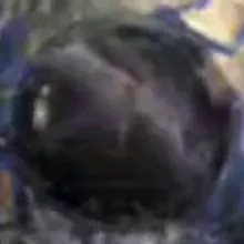 Concave Earth and Magnetism. Hidden History Media