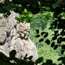 Der Hel Seher Germanische Geschichte