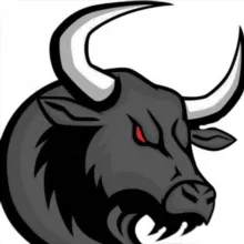 Bulls Signals - Forex +Gold