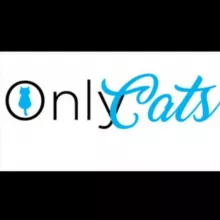 𝔾𝕒𝕥𝕠𝕤 😻 ℂ𝕒𝕥𝕤 🐈‍⬛