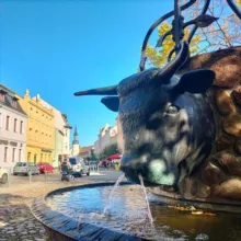 Bürgerprotest Spremberg