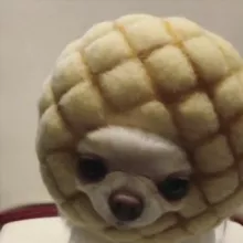 пук плак🇺🇦