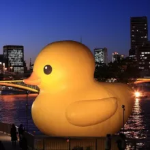 Свободный Питер | Лёша живи как память I Погиб в колонии 🥺